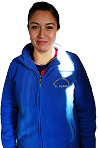 IRMA PAMELA ANTILEO SÁNCHEZ IRMA PAMELA ANTILEO SÁNCHEZ